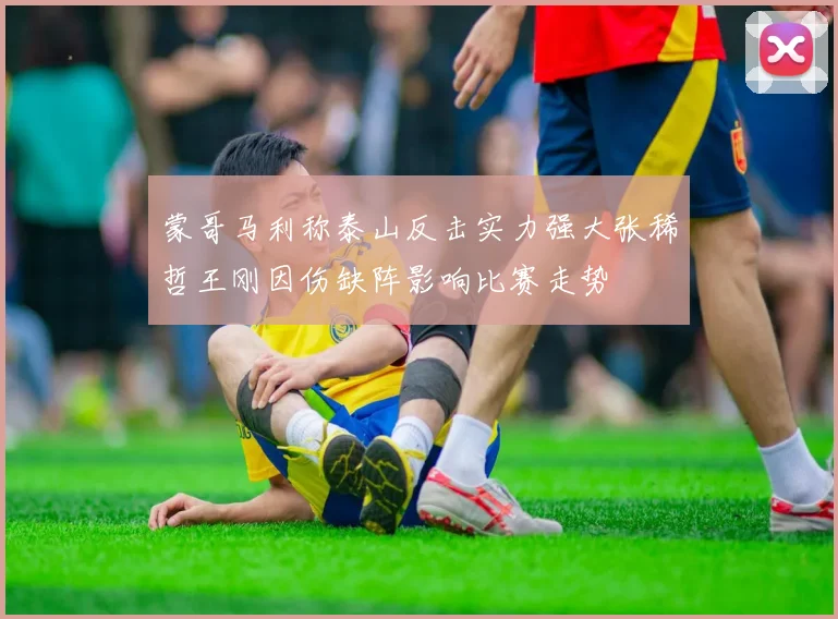 蒙哥马利称泰山反击实力强大张稀哲王刚因伤缺阵影响比赛走势